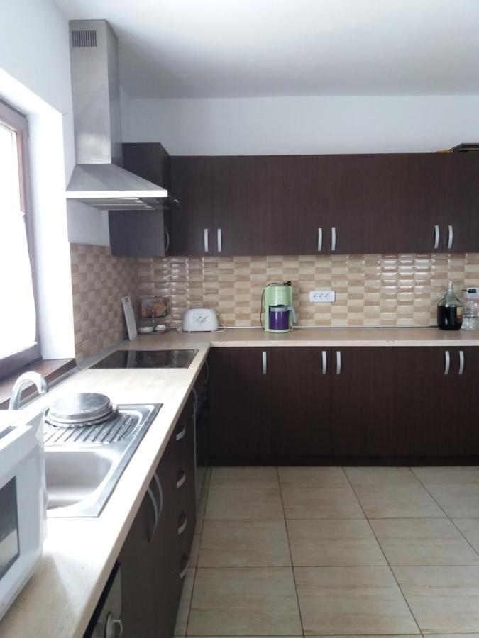 Vila Aloman Sebeş Exterior foto