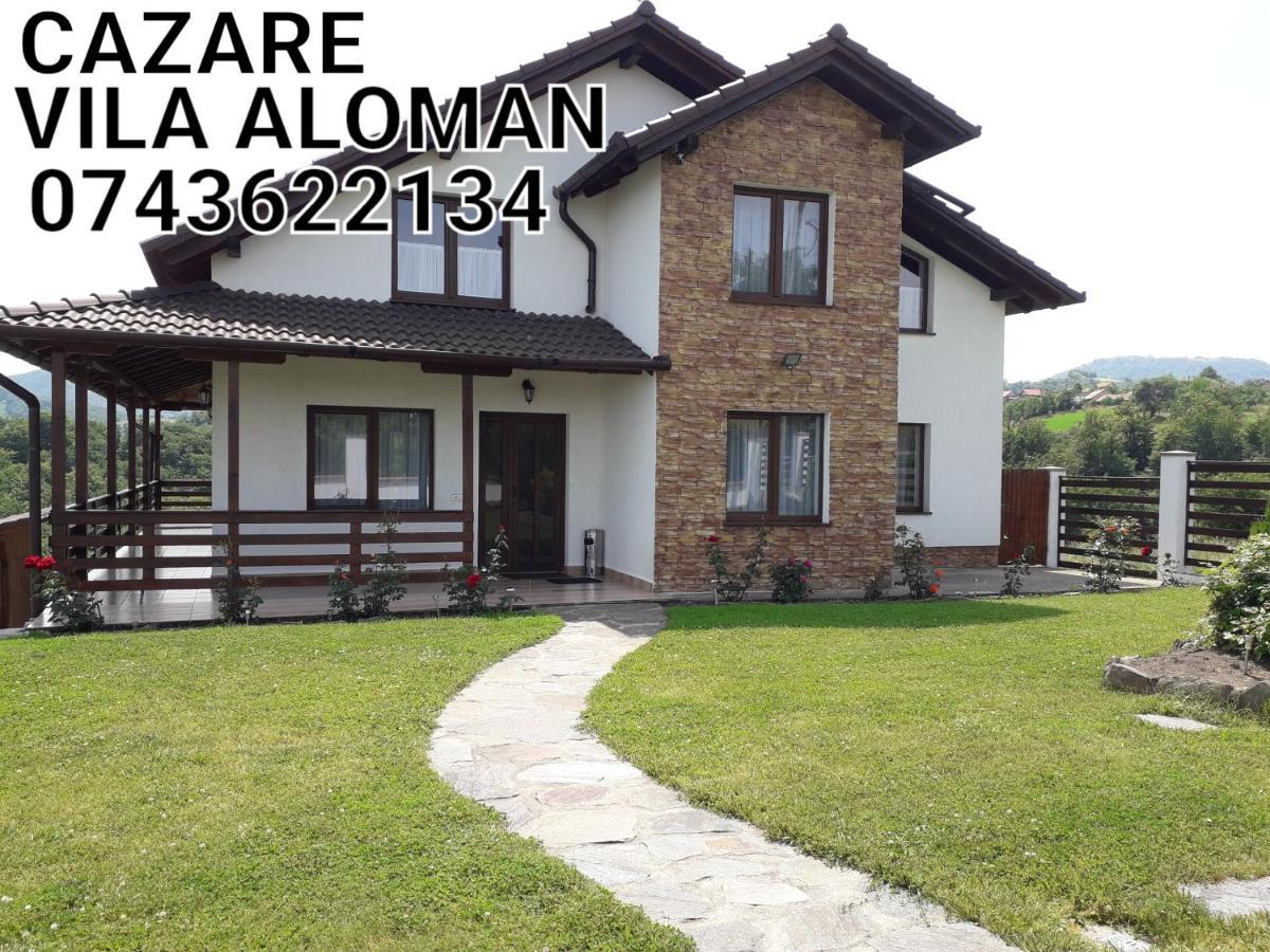 Vila Aloman Sebeş Exterior foto